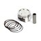 Briggs & Stratton PISTON ASSEMBLY 843951 - alternate 1